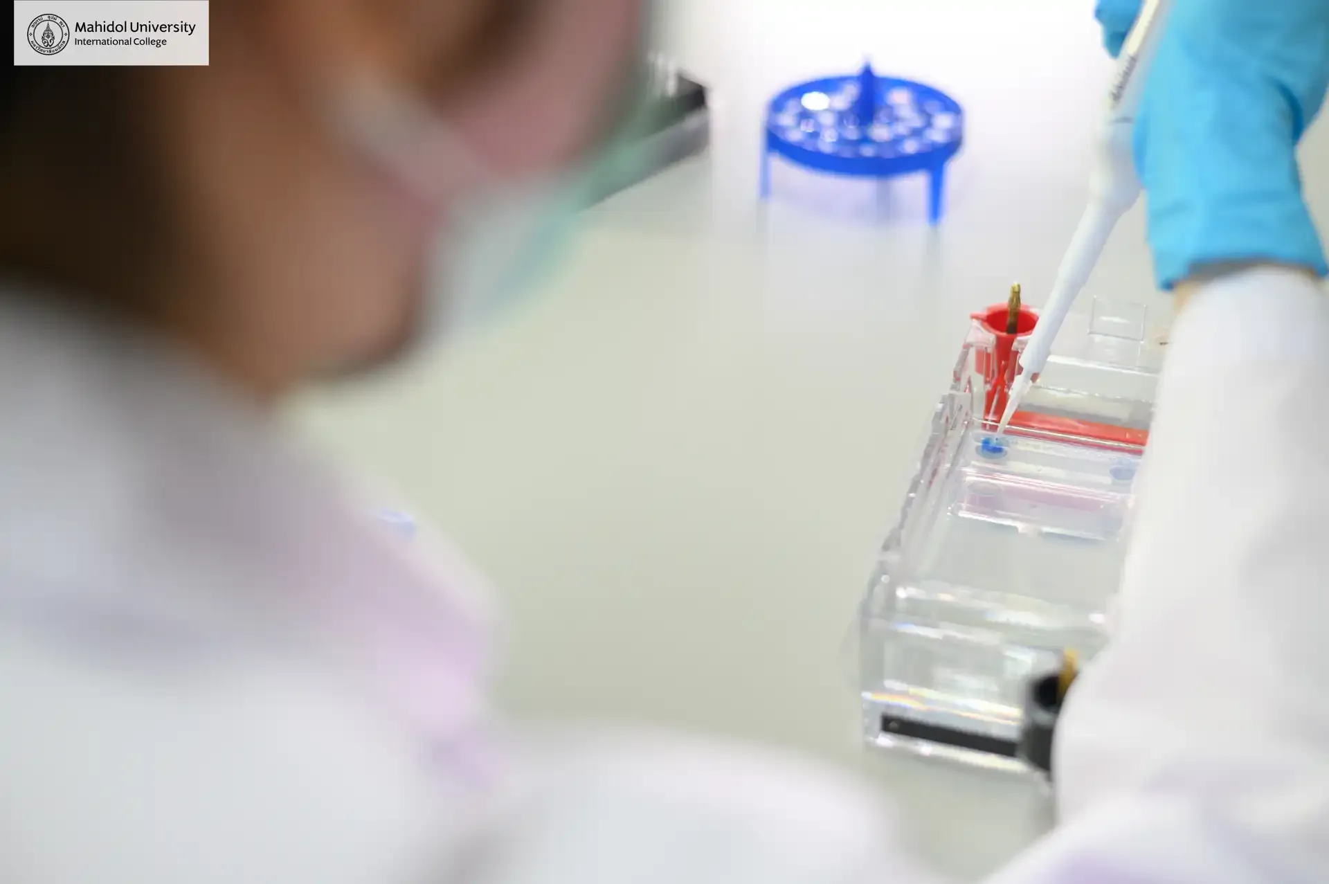 MUIC Labs