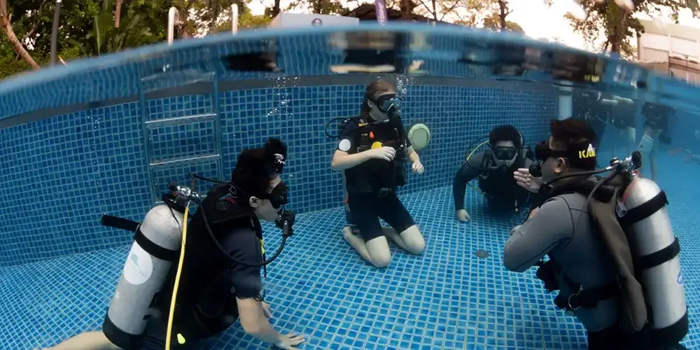 Exploring the World of Scuba Diving