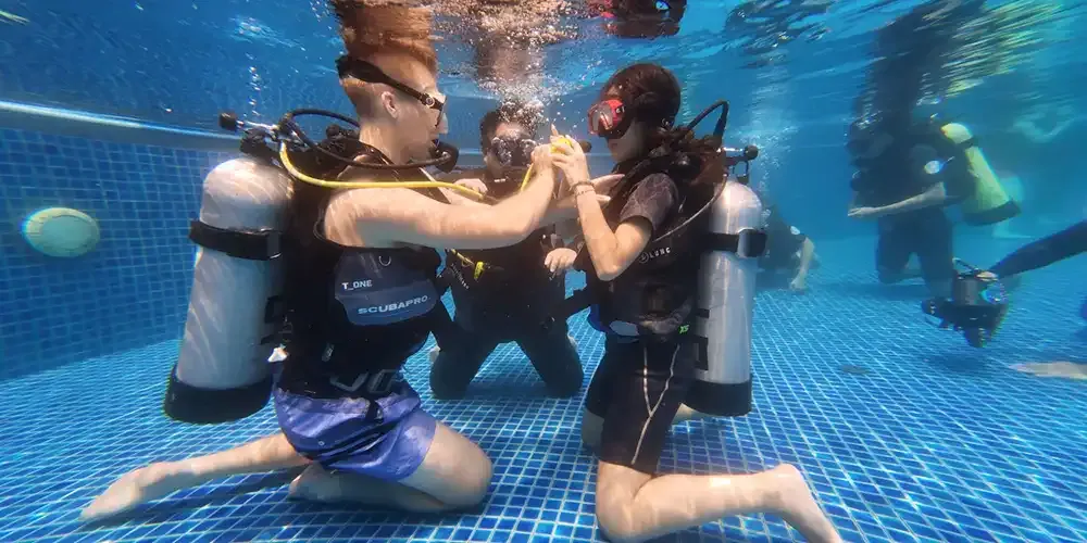 Exploring the World of Scuba Diving with MUIC Diving Club