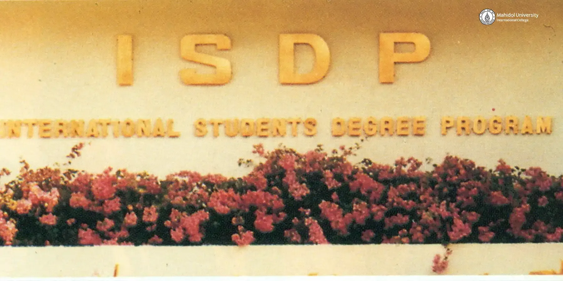 Two Classrooms, One Bold Vision: The Unstoppable Rise of MUIC 