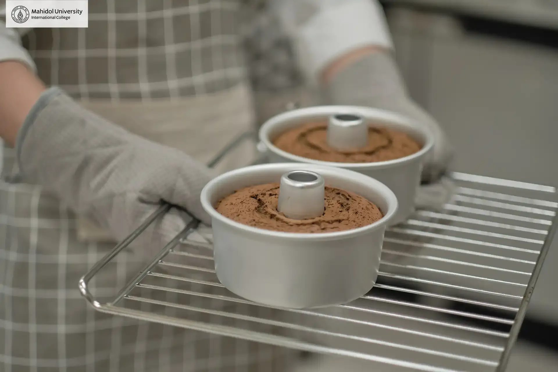 MUIC Labs