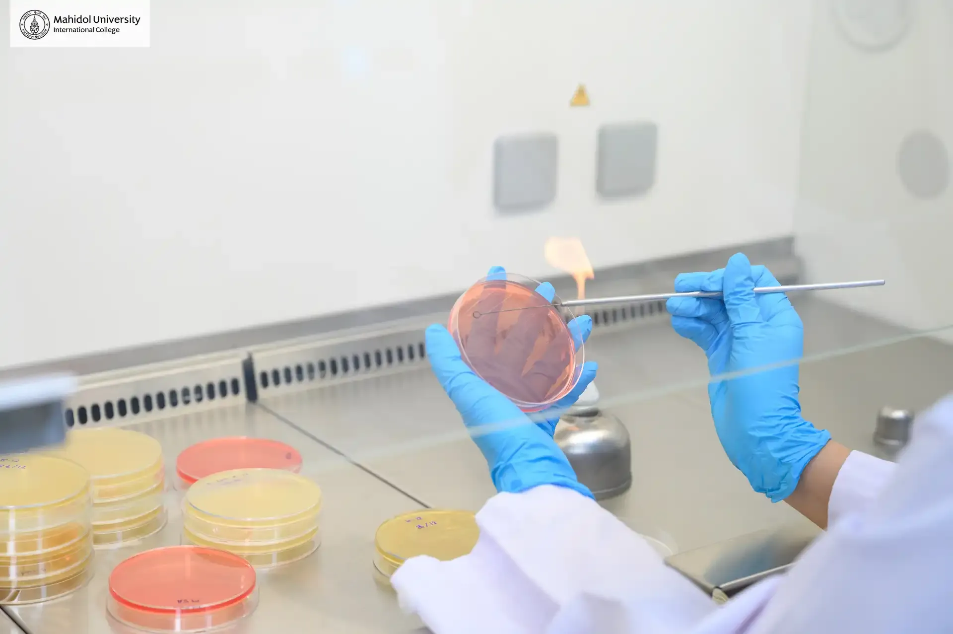 MUIC Labs