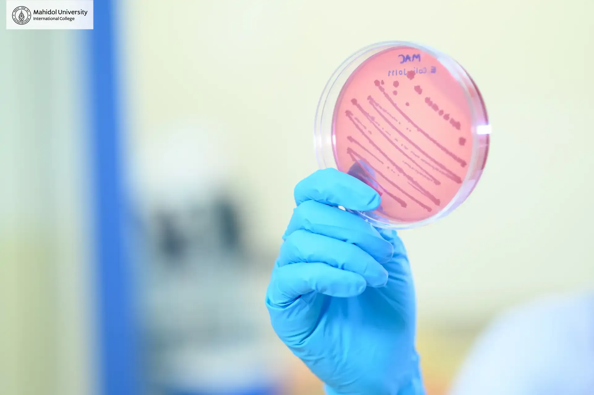 MUIC Labs