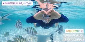 Let’s Sea What U Sea