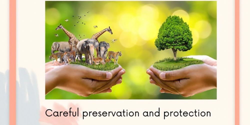 Nature Lovers Club Holds Crossword Contest