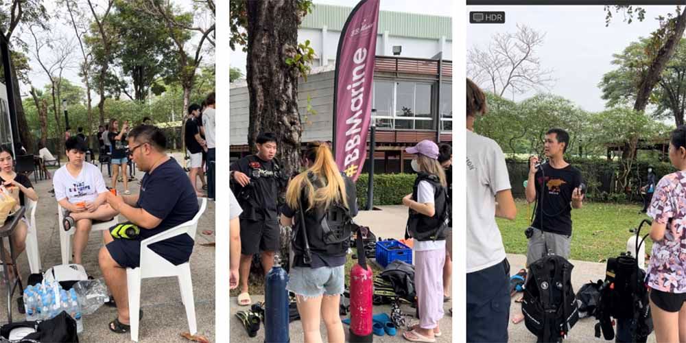 Pool Session with Diving Club