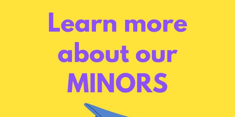 HLD’s Minor Programs￼