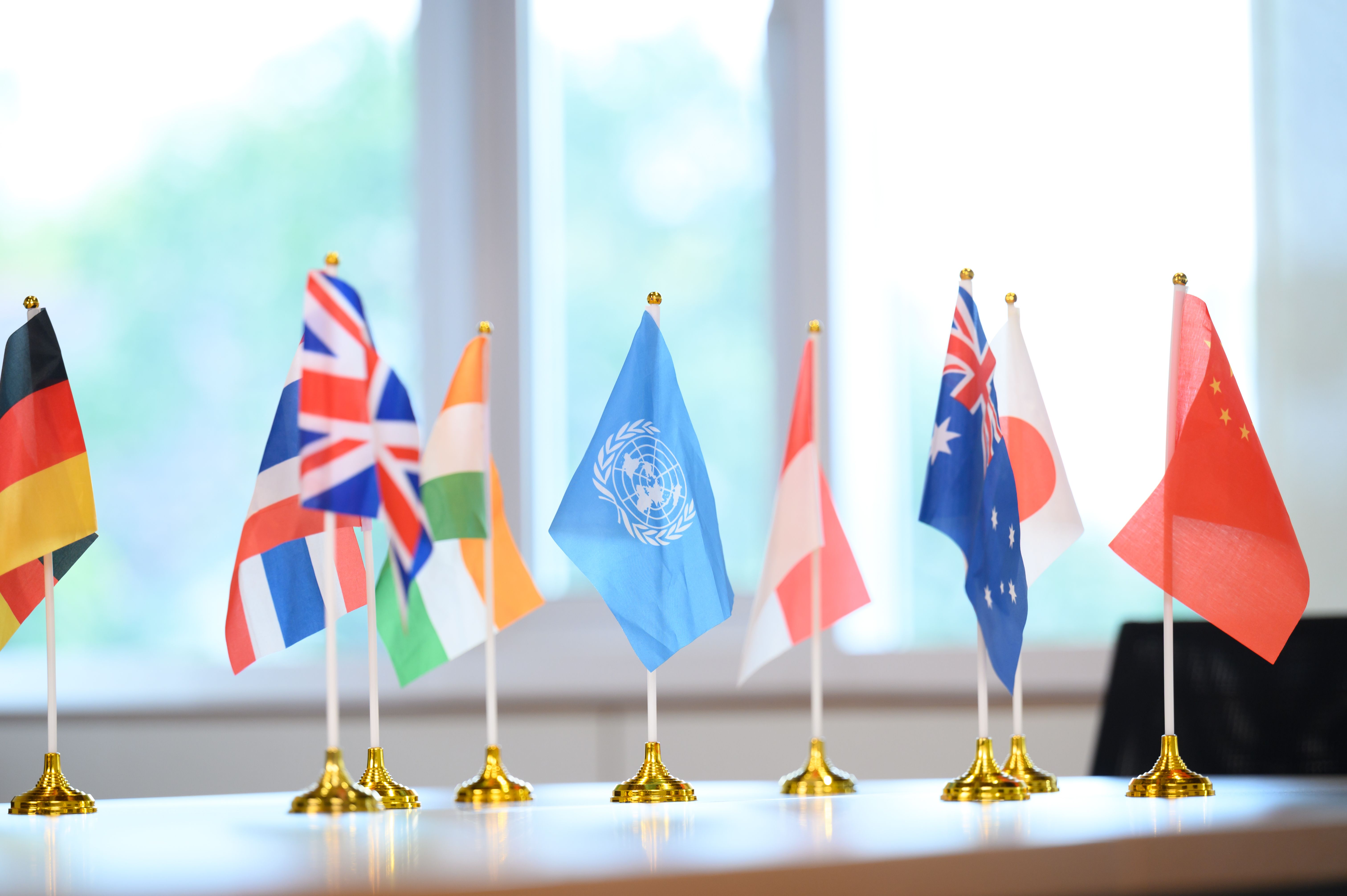 Major in International Relations and Global Affairs