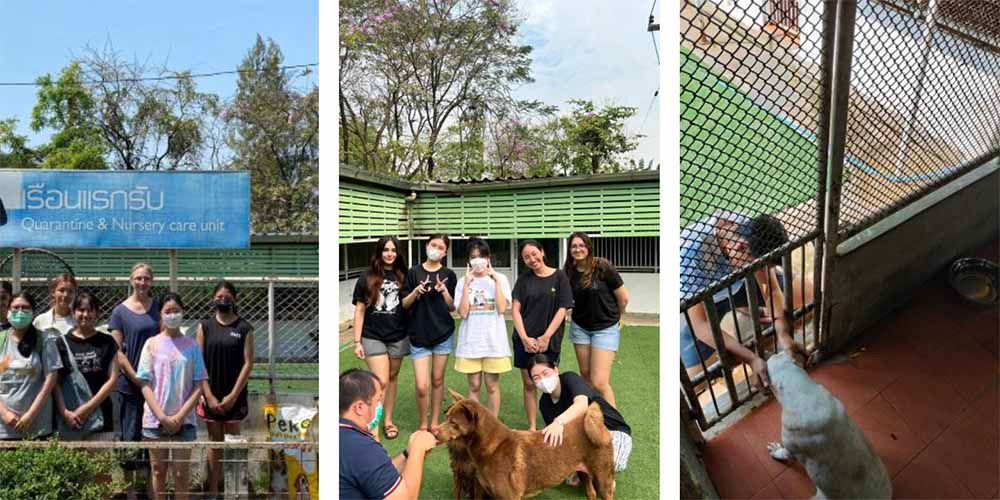 Animal Lovers Club Undertakes “Paw Patrol”