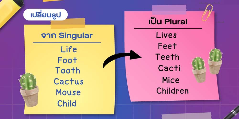 MUIC แจกลิสต์คำศัพท์ "Irregular Plurals"