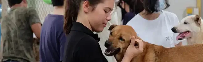 Paws and Hearts Club